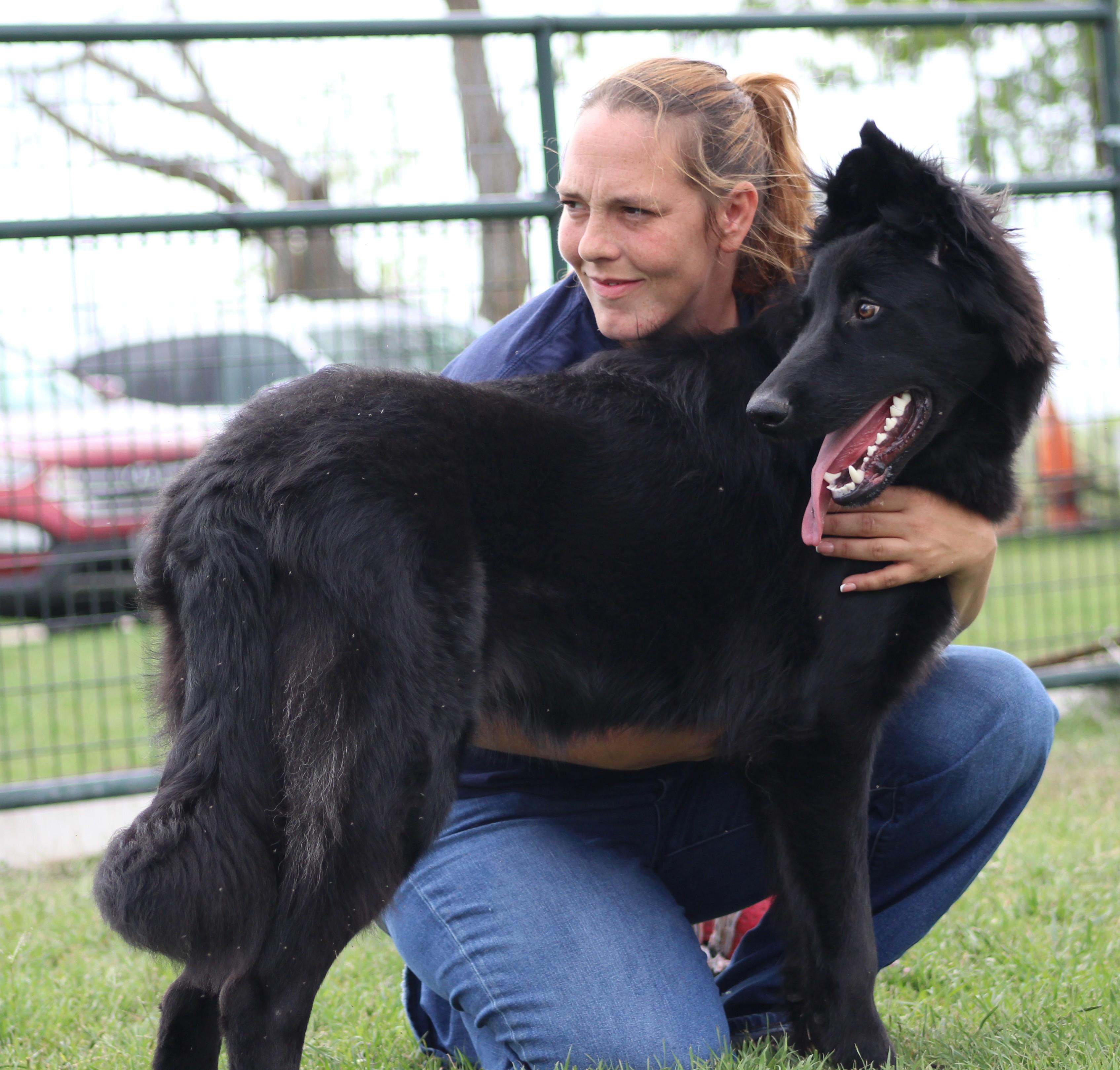 Enlarge Which-Way, a ADOPTABLE mixed breed in Temple, TX image 3/6