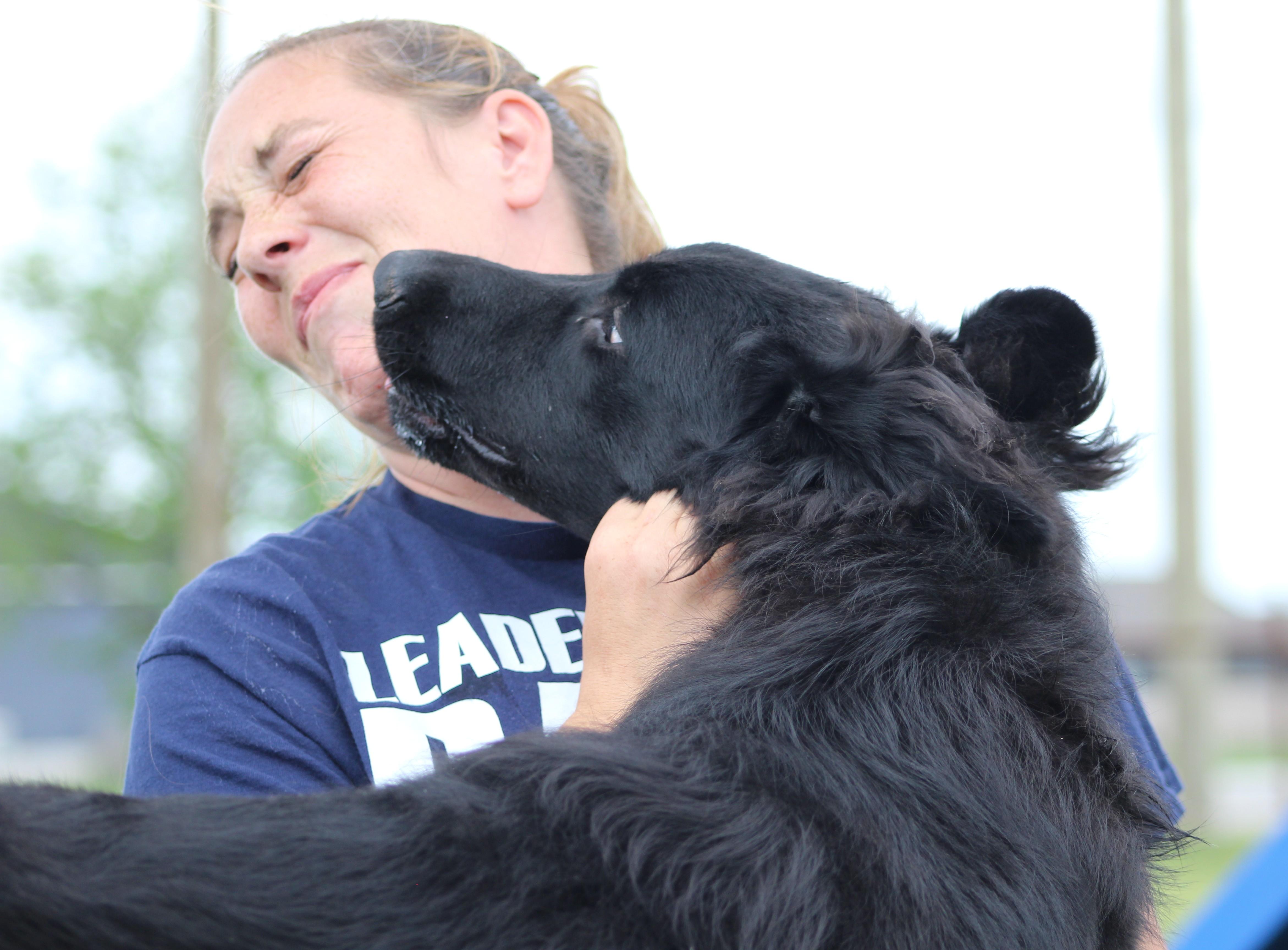 Enlarge Which-Way, a ADOPTABLE mixed breed in Temple, TX image 2/6