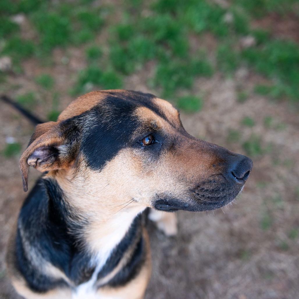 Chili — thumbnail 2