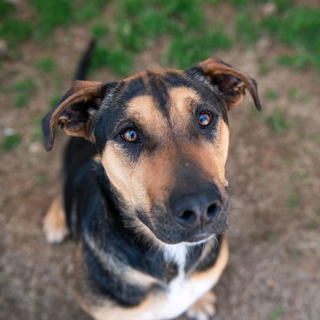 Chili — thumbnail 4