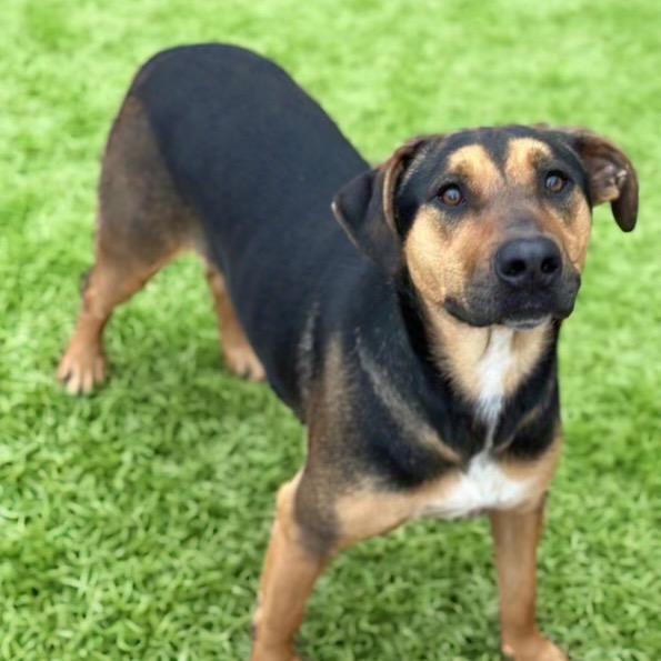 Chili — thumbnail 6