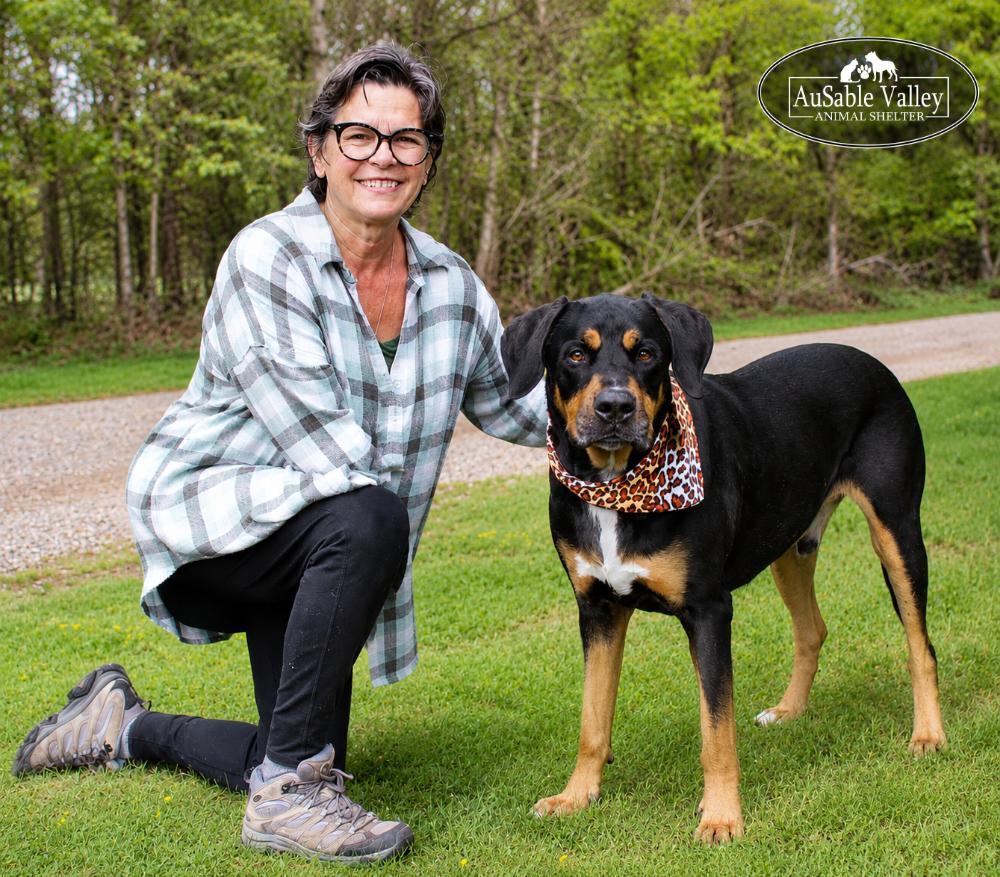 Titus, a ADOPTABLE mixed breed in Grayling, MI image 6/6