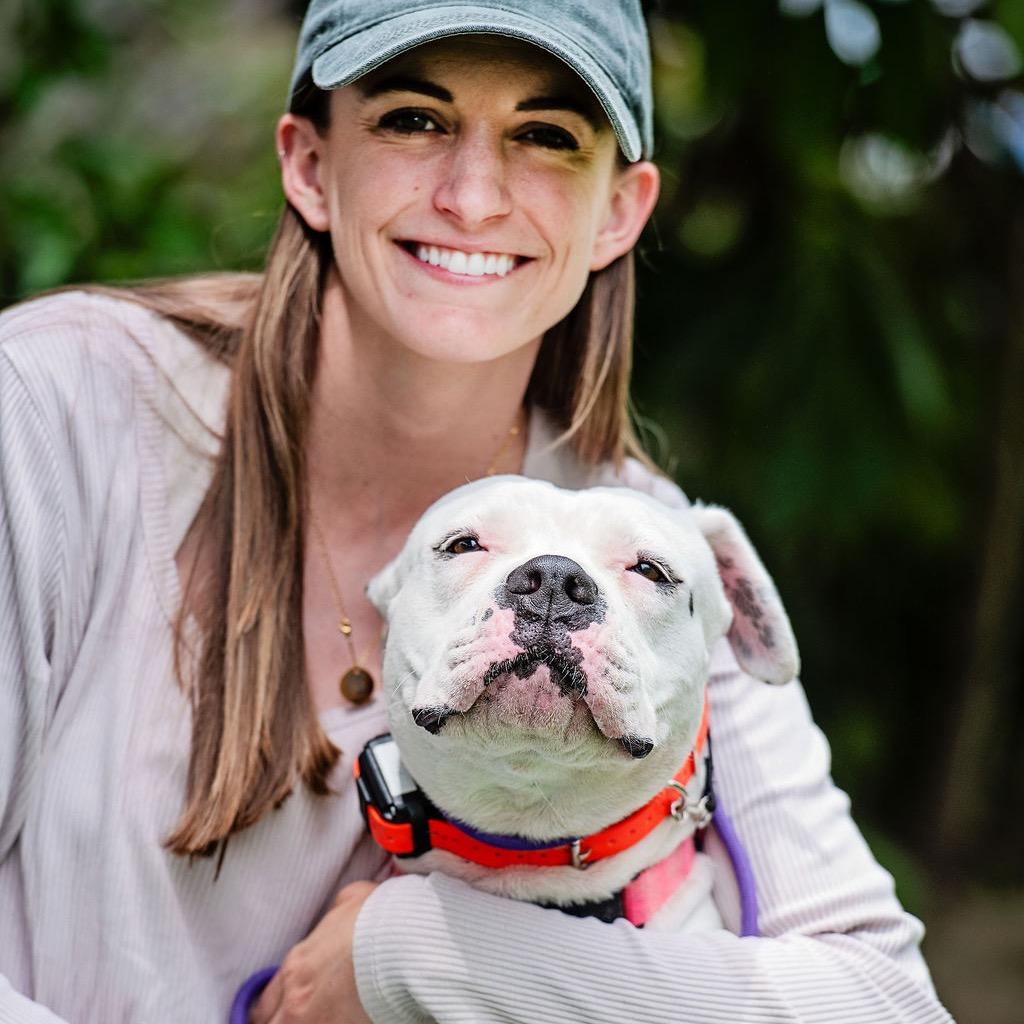 Enlarge Roller Derby, a Adoptable mixed breed in Los Angeles, CA image 2/5