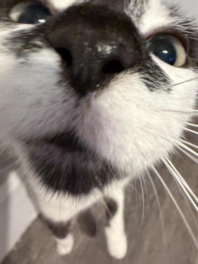 Diamond — thumbnail 6