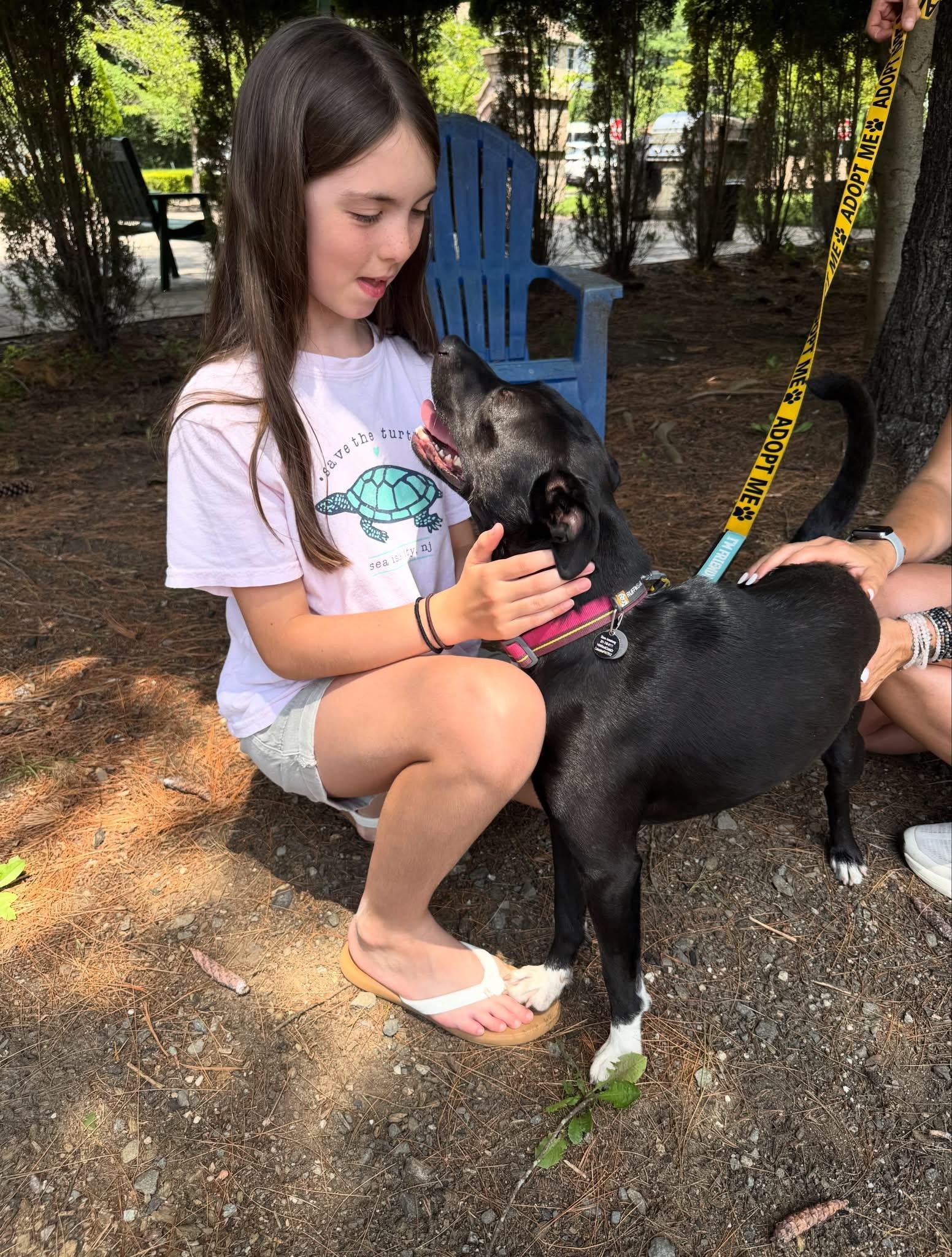 Enlarge Kiki, an adopted mixed breed in Mahwah, NJ image 6/6