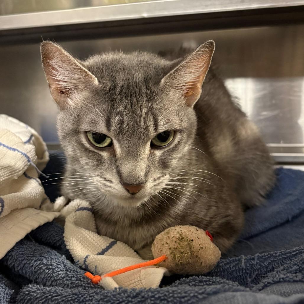 June — thumbnail 2