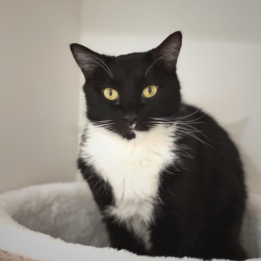 Geneva — thumbnail 2