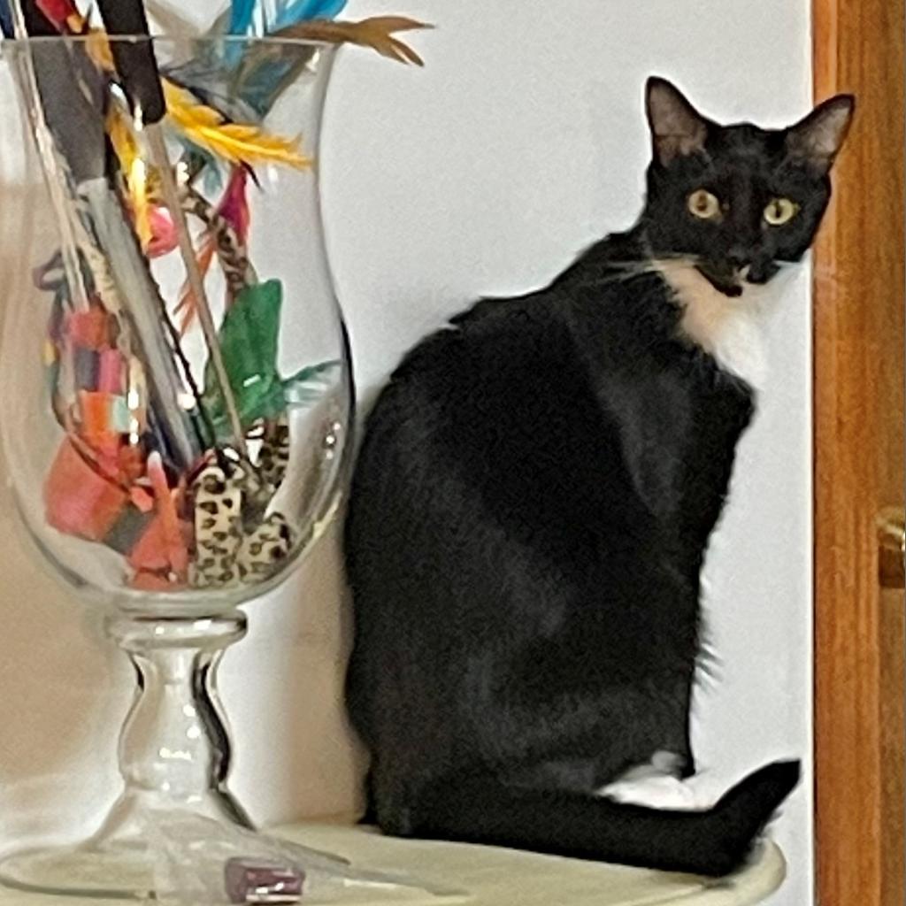 Geneva — thumbnail 3