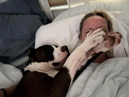 Enlarge Rick Sanchez, a Adoptable mixed breed in Atlanta, GA image 2/4