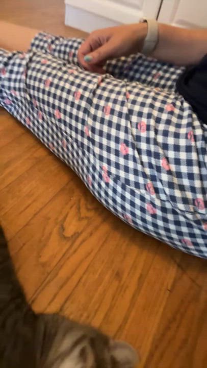 Enlarge STELLA, an adoptable Tabby in Shakespeare, ON video 5/6