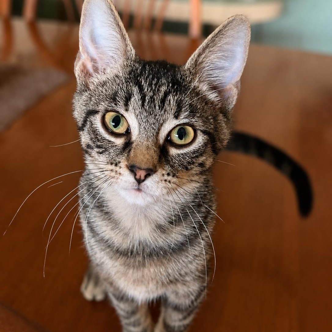 Gilligan photo