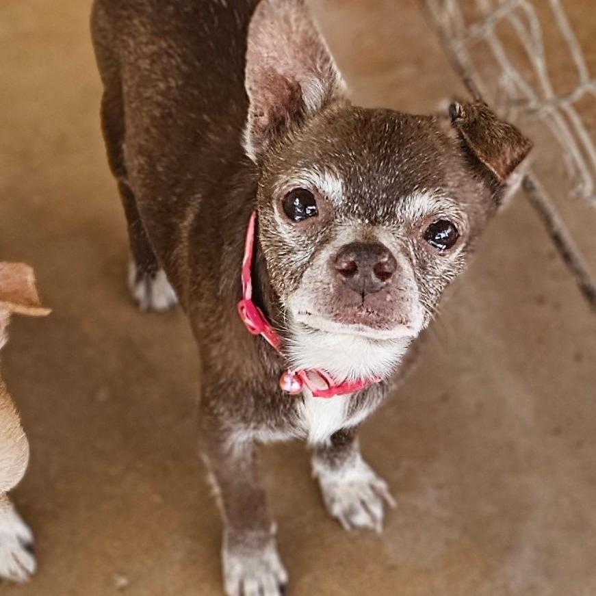 Sunny — thumbnail 2