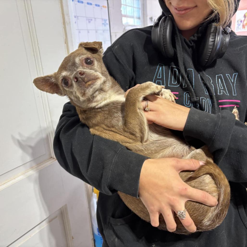 Sunny — thumbnail 3