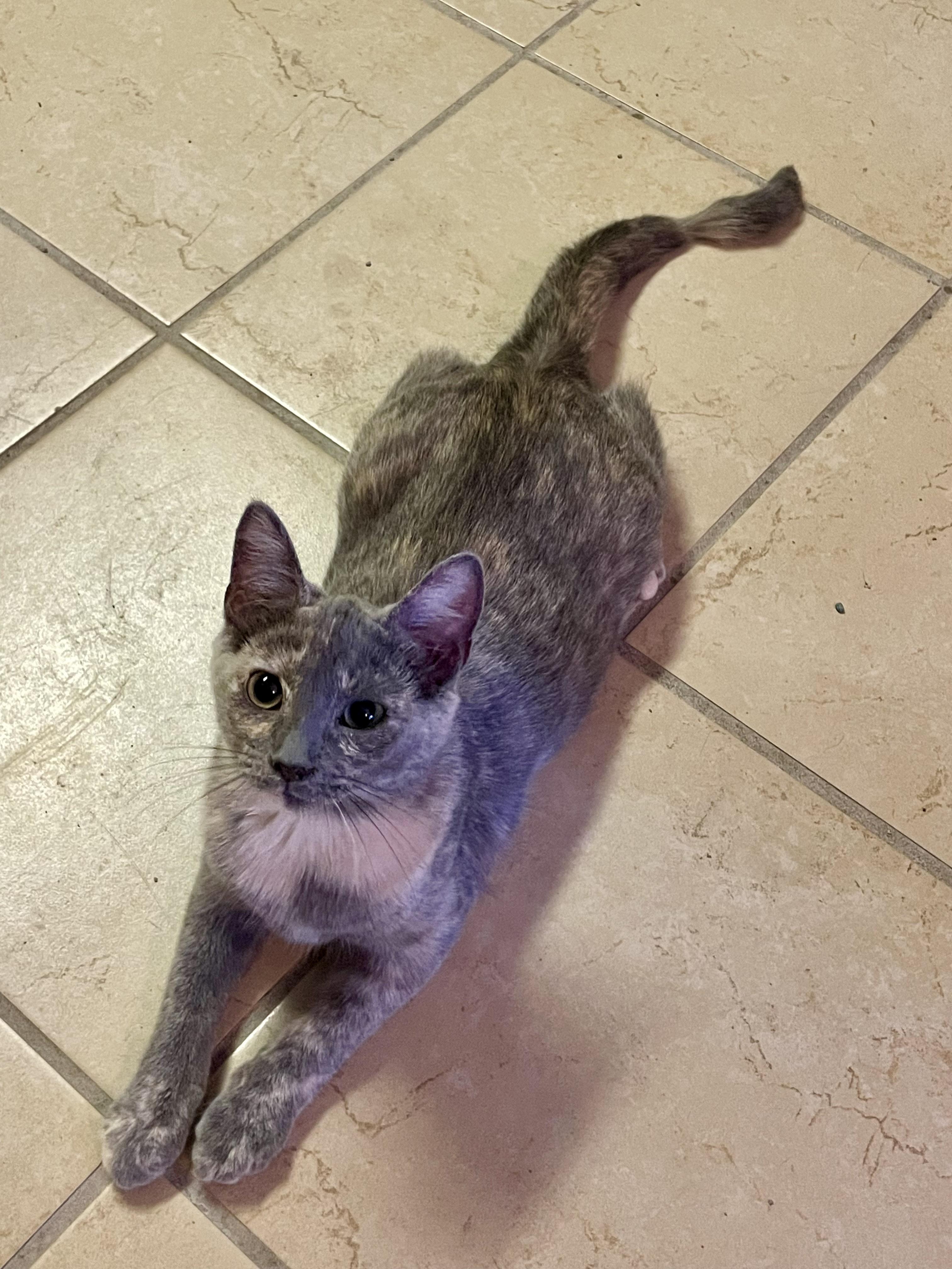 Wynnie