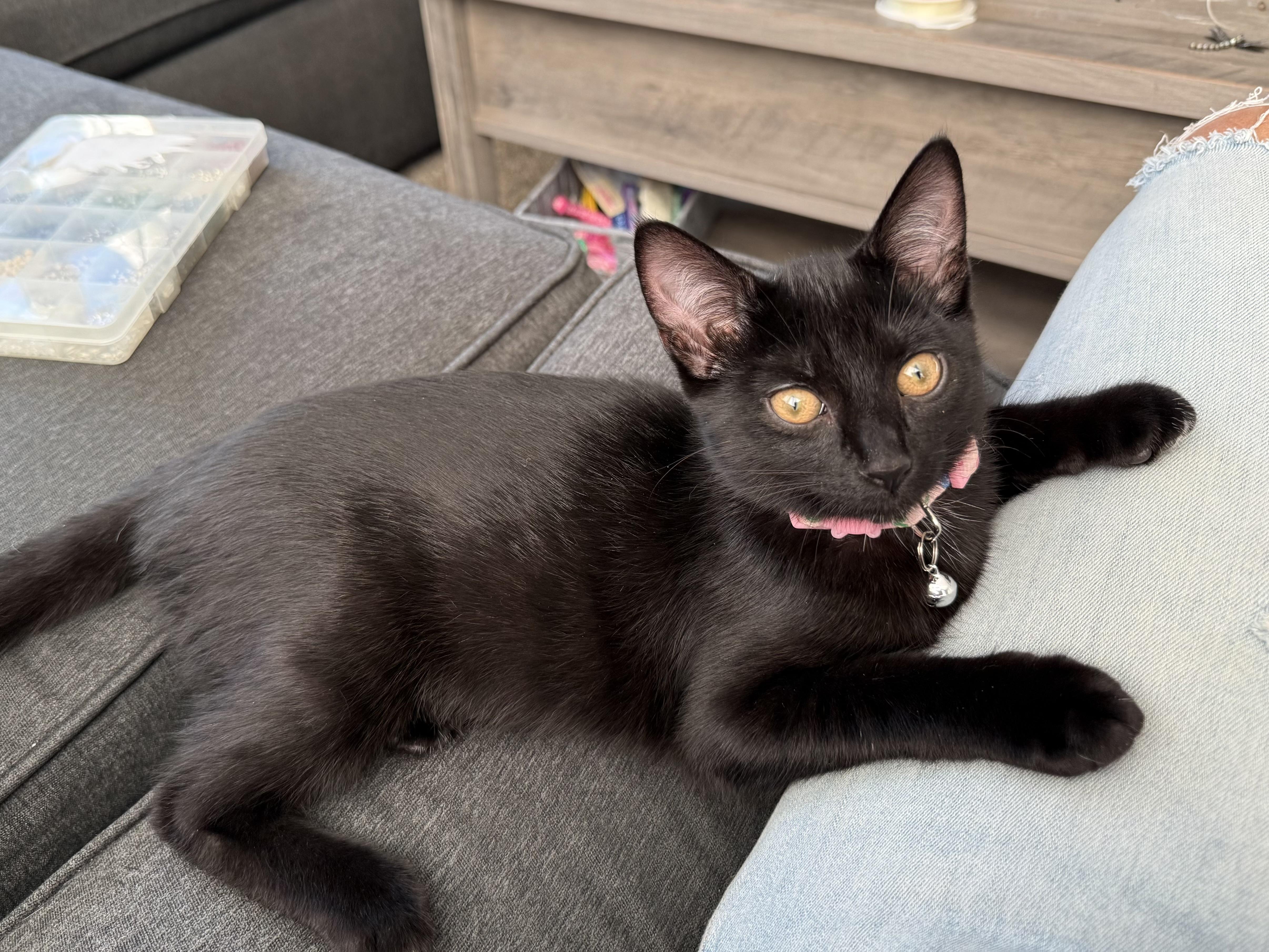 Cleo