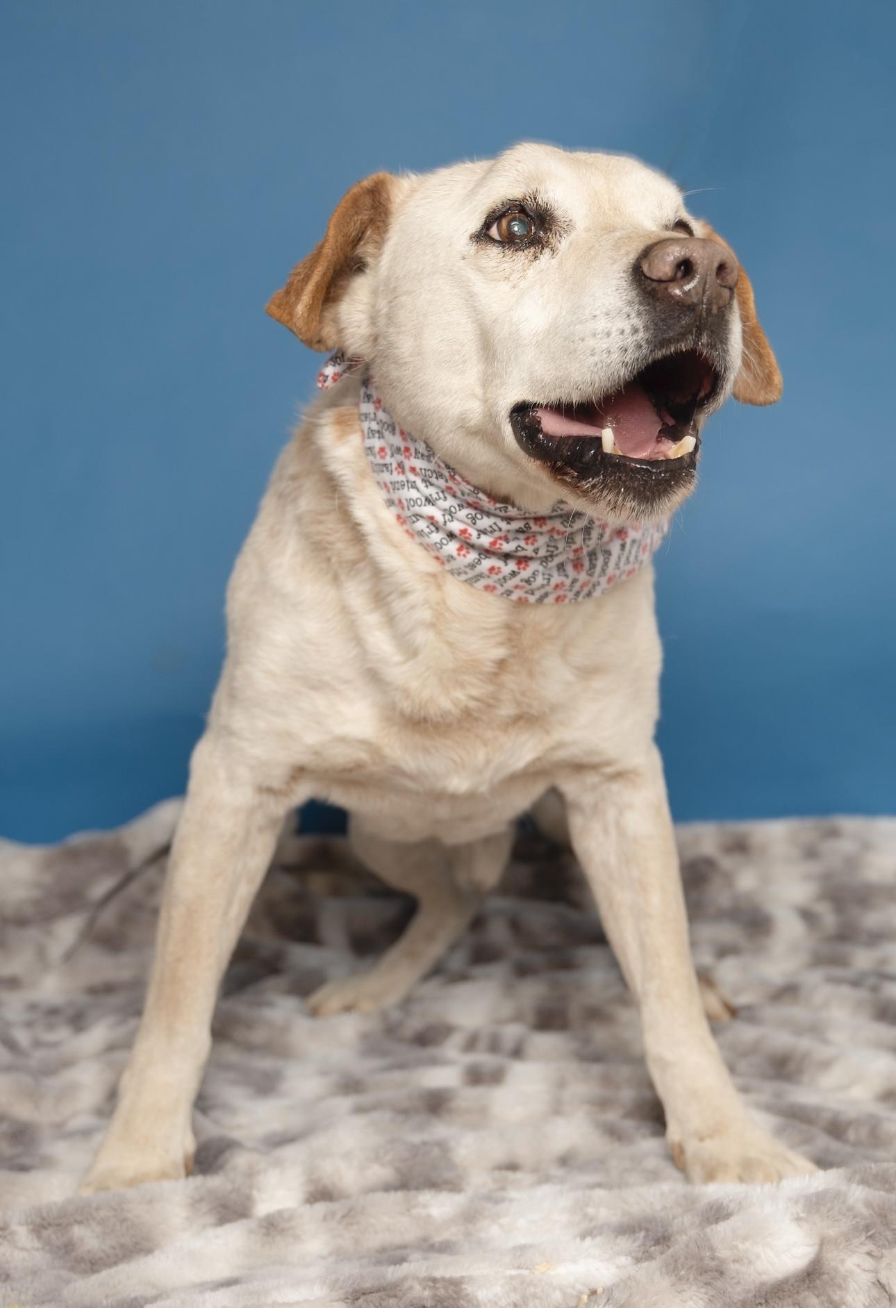 Benny — thumbnail 2