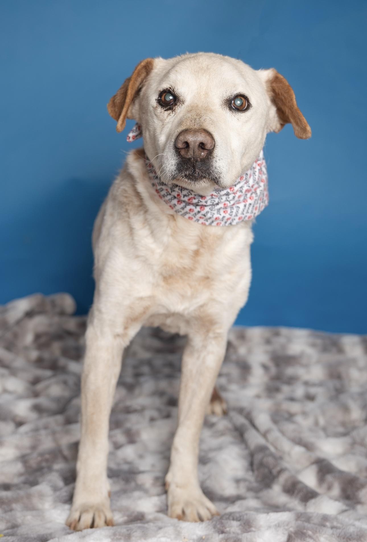 Benny — thumbnail 5