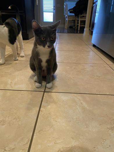 Rosita — thumbnail 2