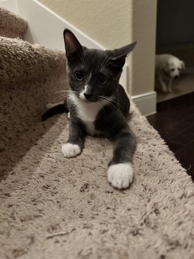 Rosita — thumbnail 3