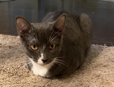 Rosita — thumbnail 5