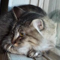 Lexi photo 3