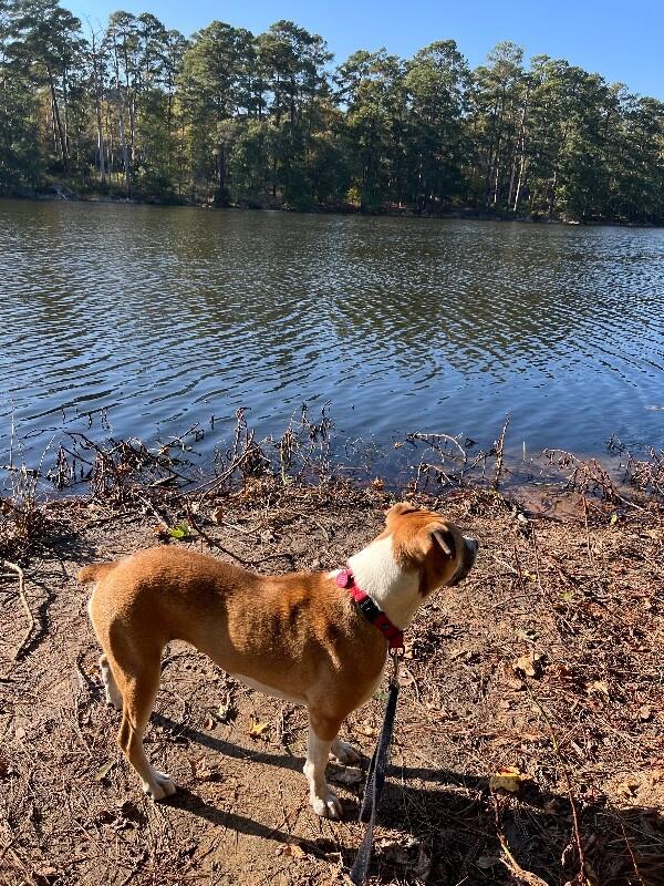 Chanel Belle your built in bestie with bonus wiggles