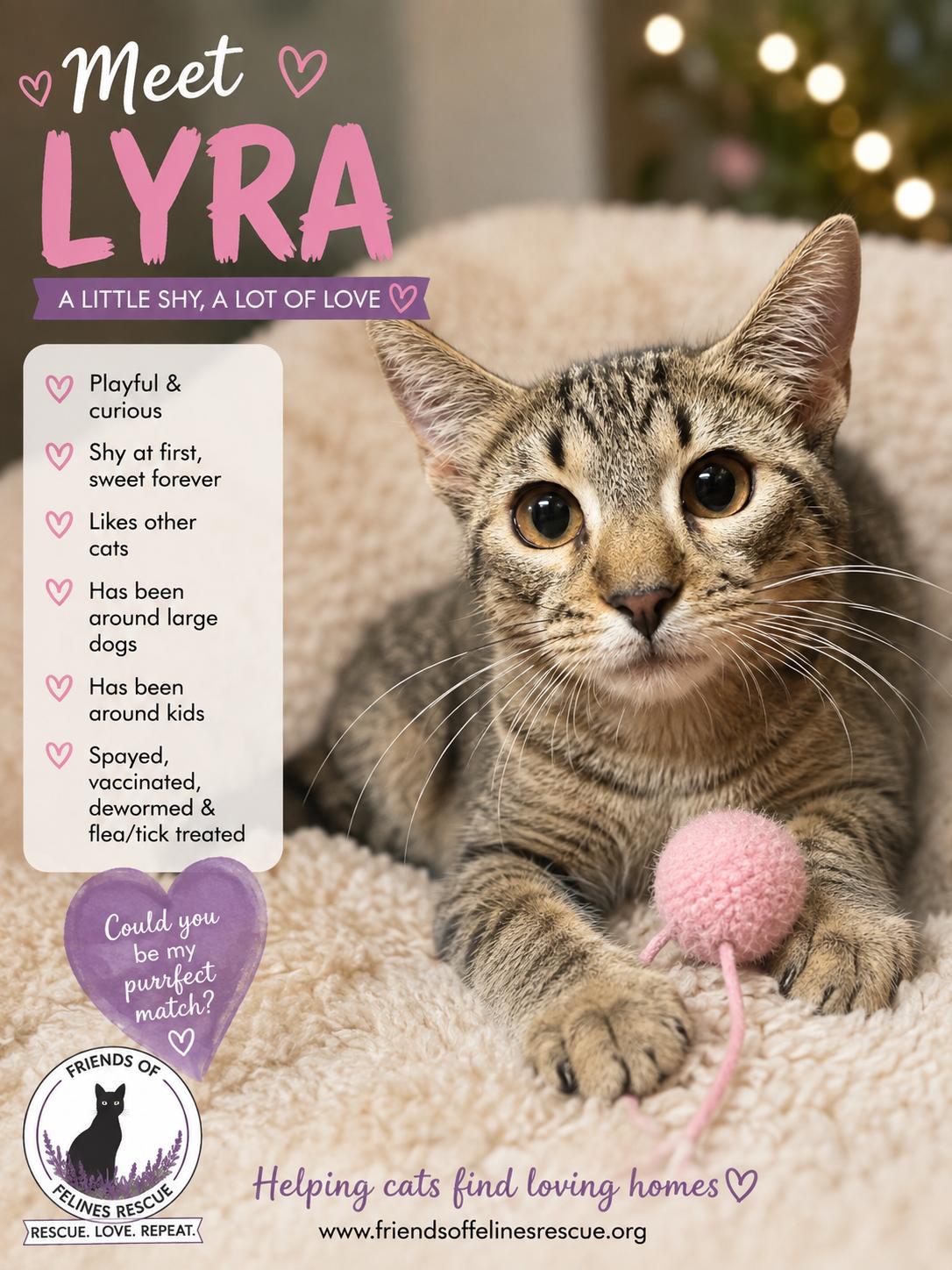 Enlarge Lyra, a Adoptable Domestic Short Hair in Rio Linda, CA image 1/1
