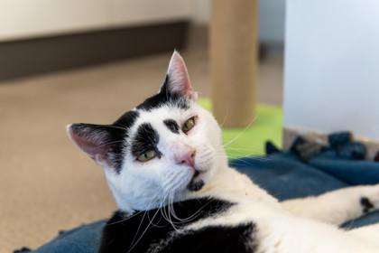 Francois — thumbnail 4