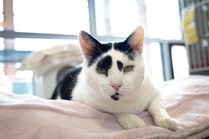 Francois — thumbnail 6