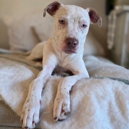 Flynn Family Fun Wanted — thumbnail 2