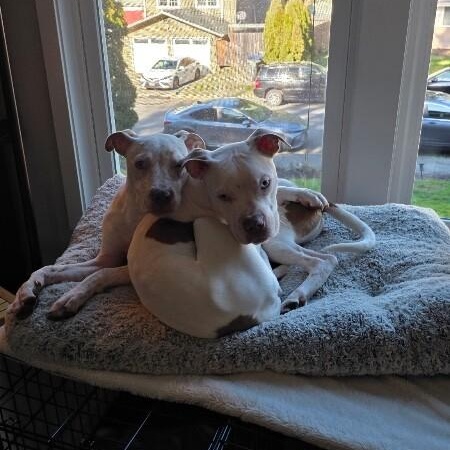 Flynn Family Fun Wanted — thumbnail 3