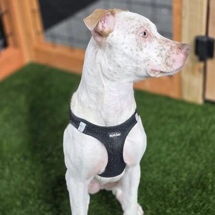 Flynn Family Fun Wanted — thumbnail 4