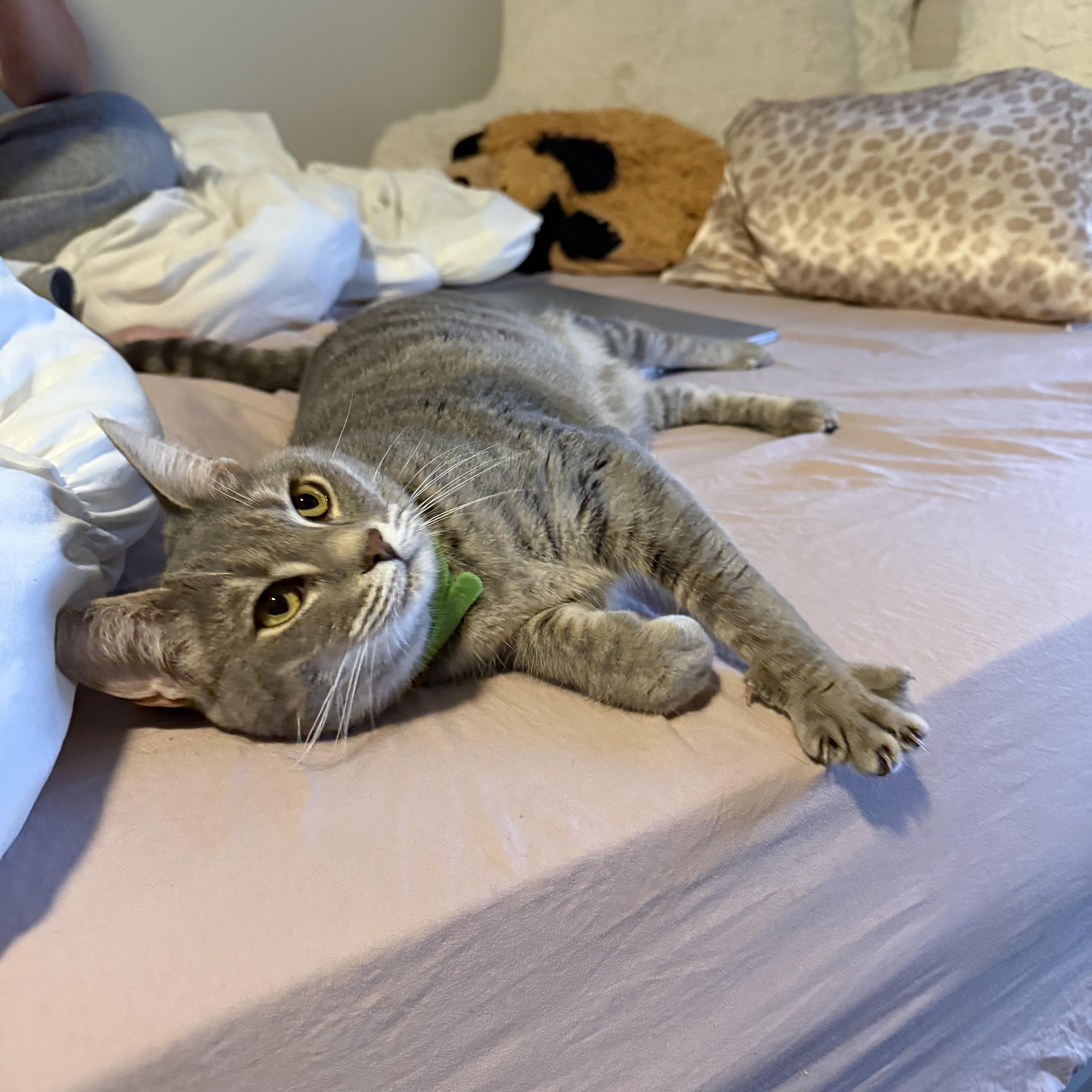 DJ Kitty — thumbnail 3