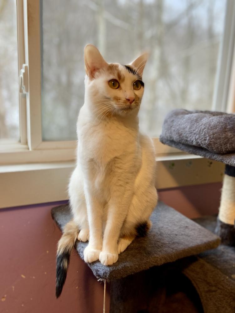 Frosty Aka Alley thumbnail 5