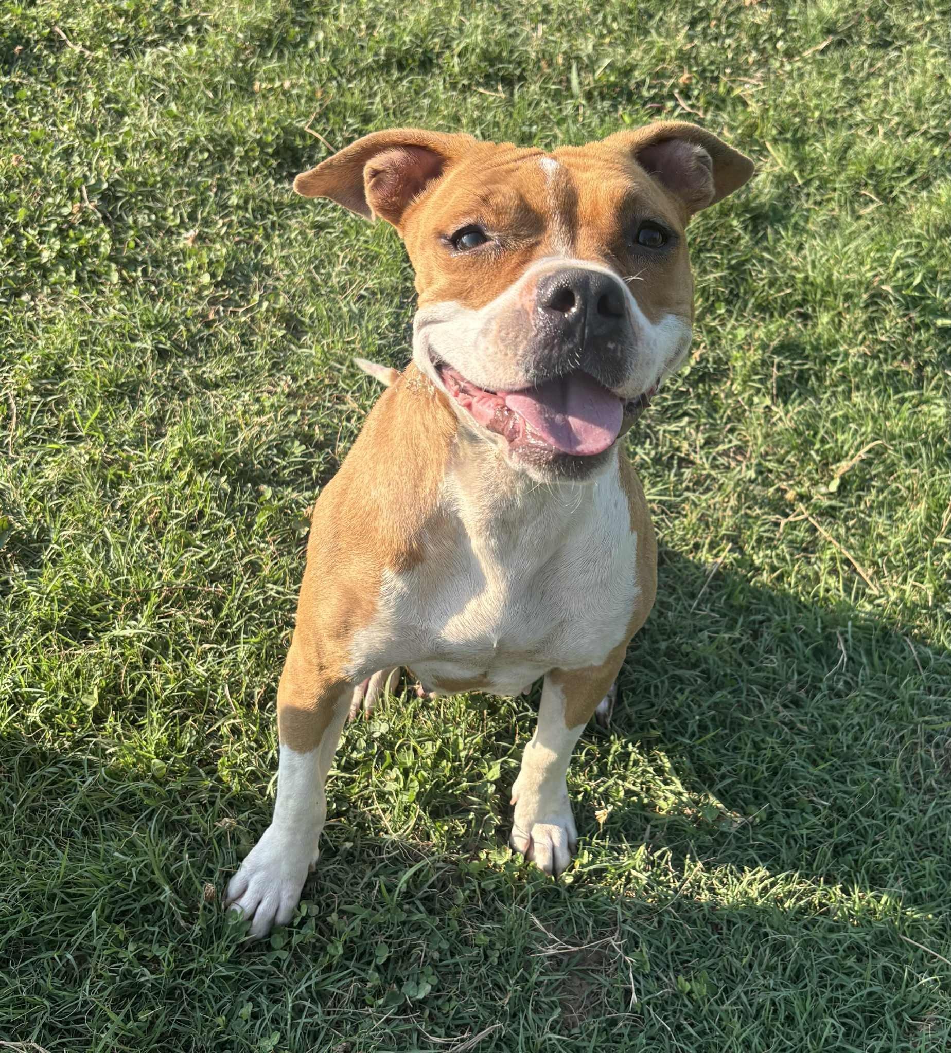 Stella photo 2