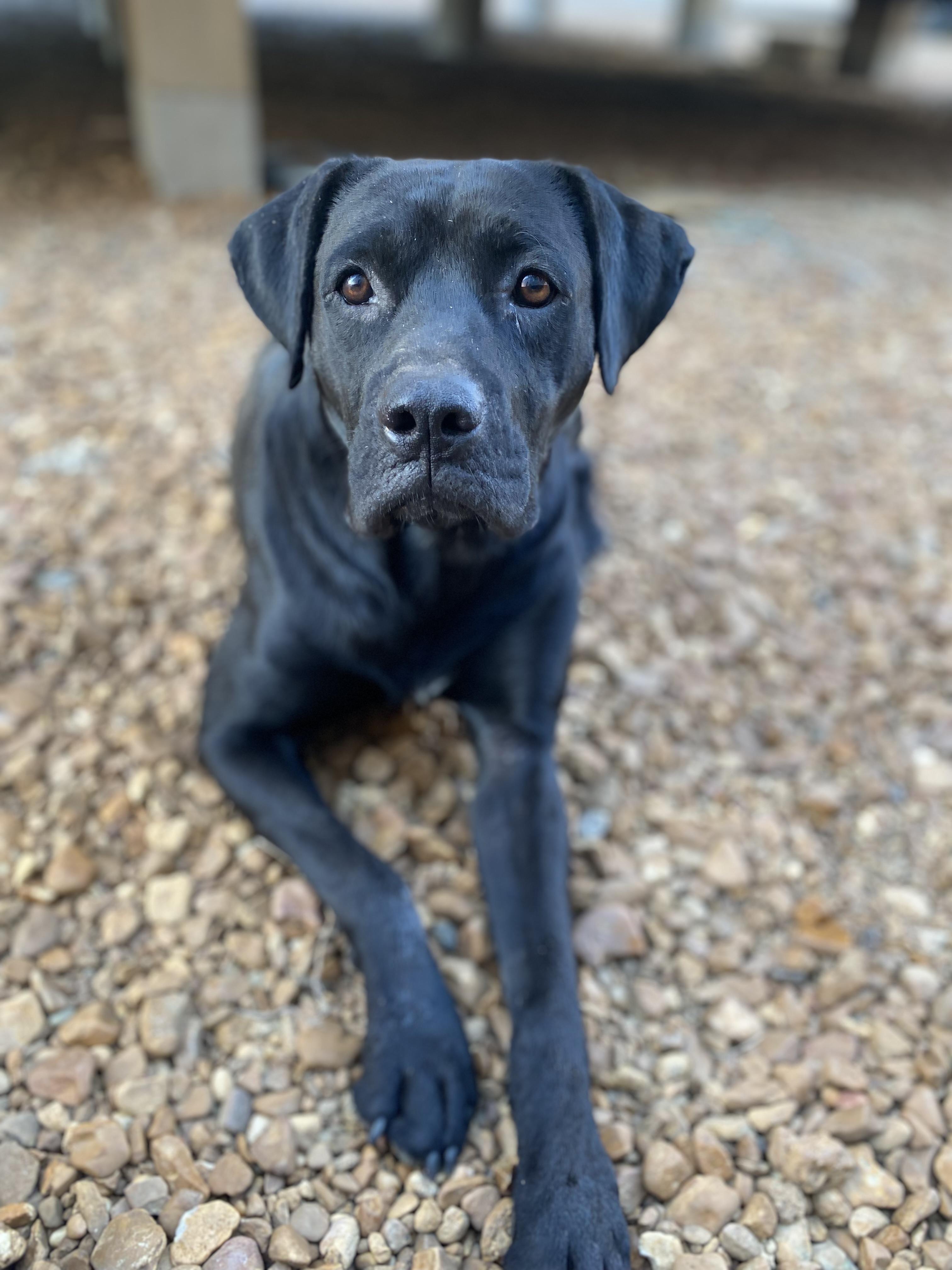 Daddio — thumbnail 2