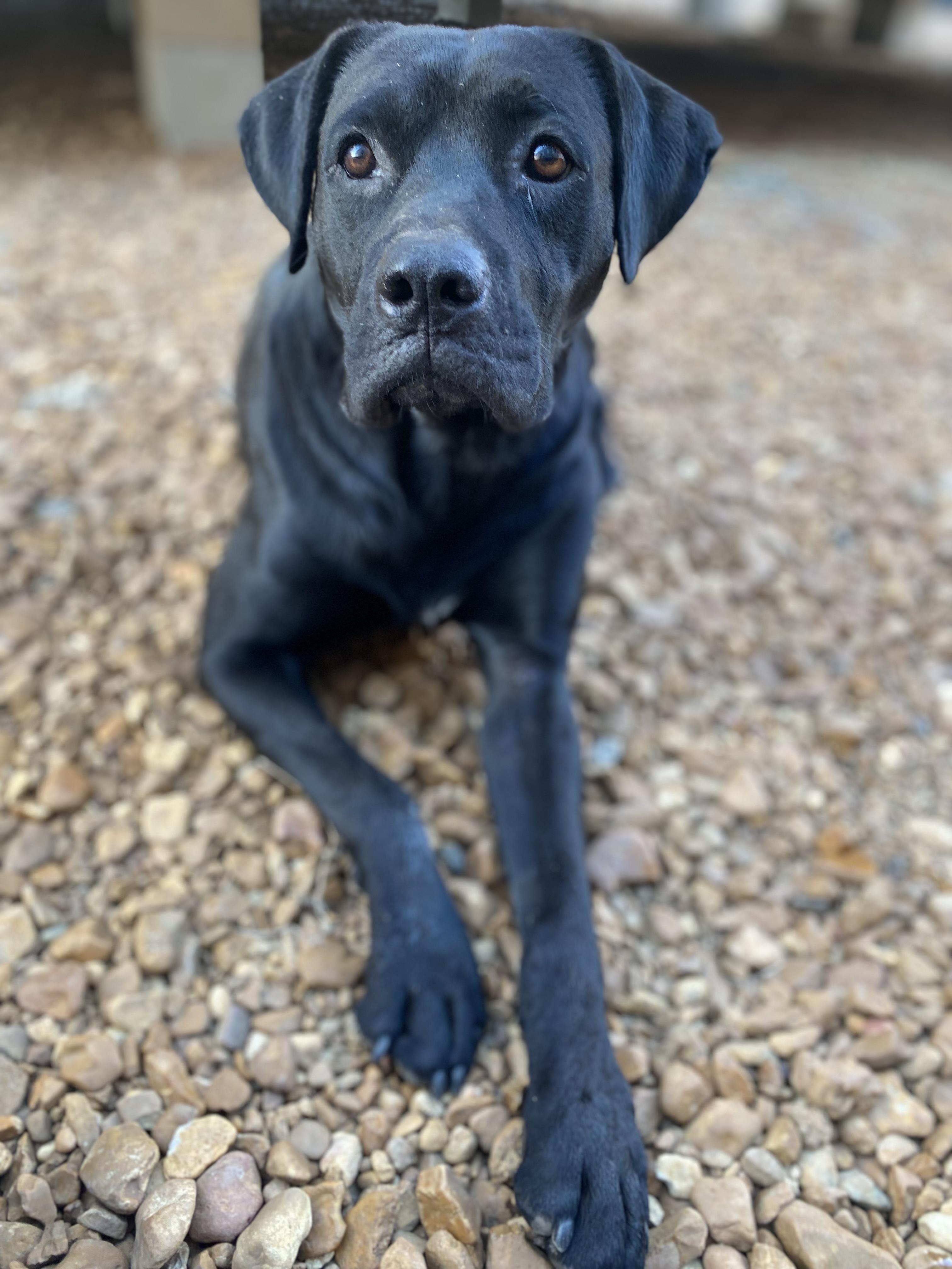 Daddio — thumbnail 3