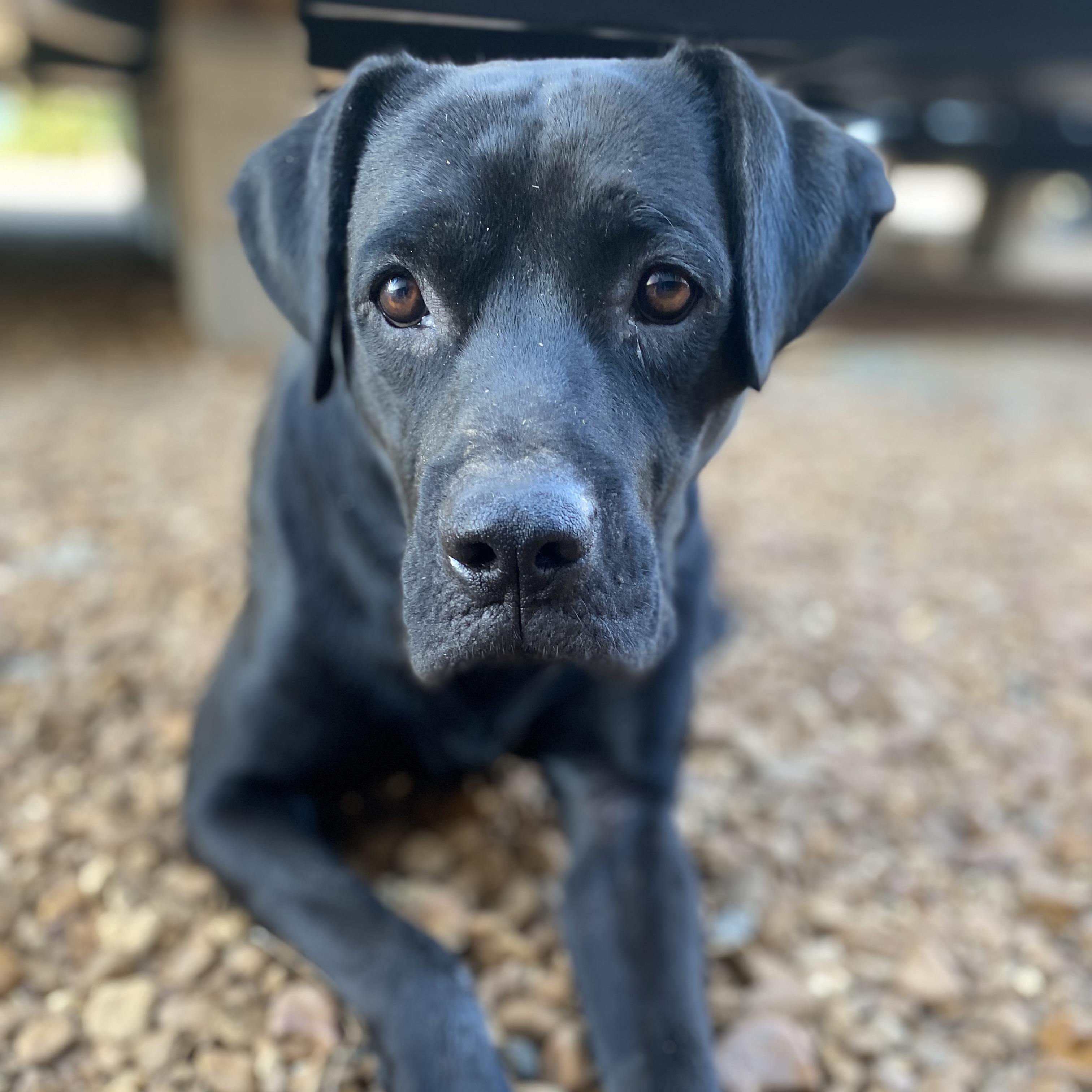 Daddio — thumbnail 5