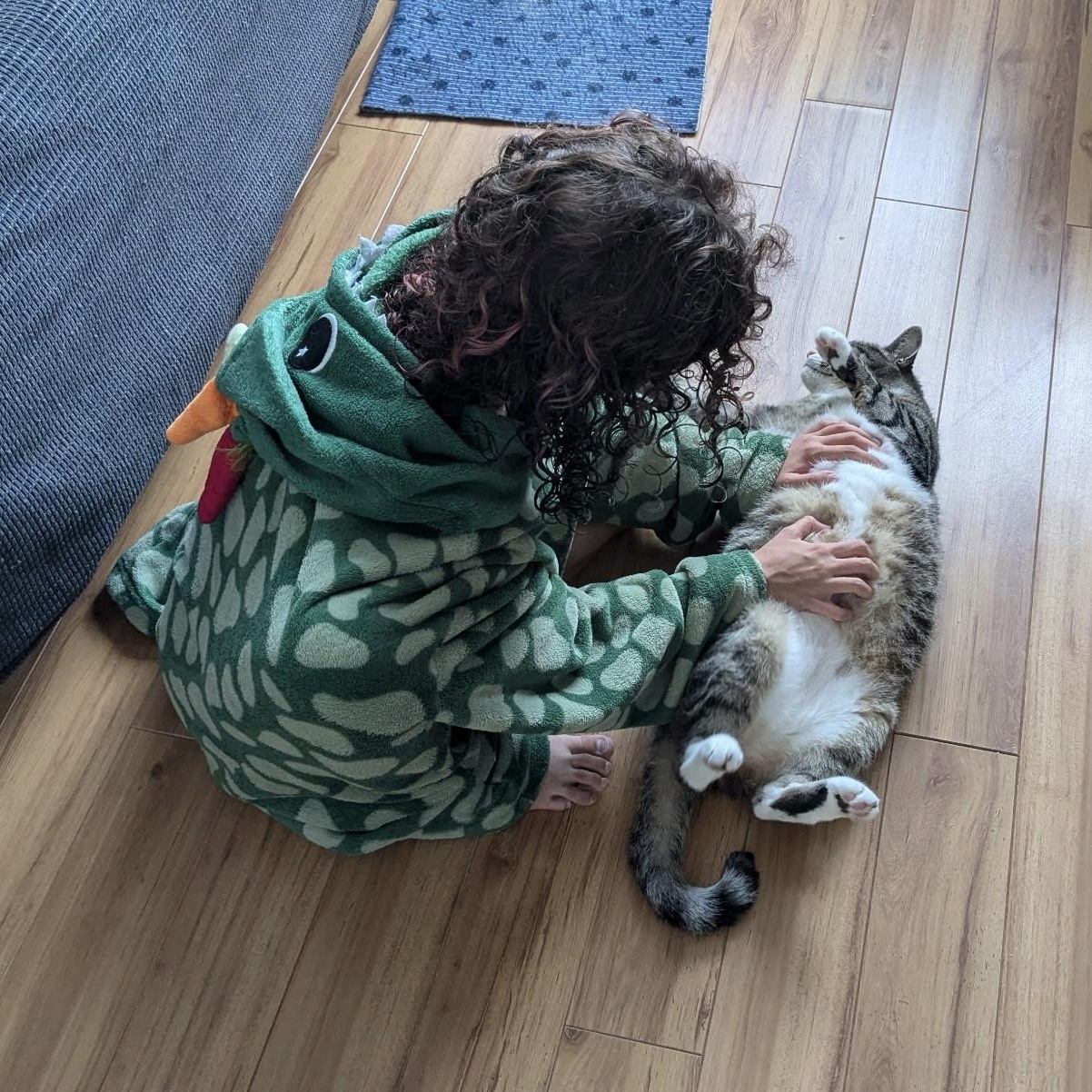 Pepper, an adopted Domestic Short Hair in Jersey City, NJ image 2/3