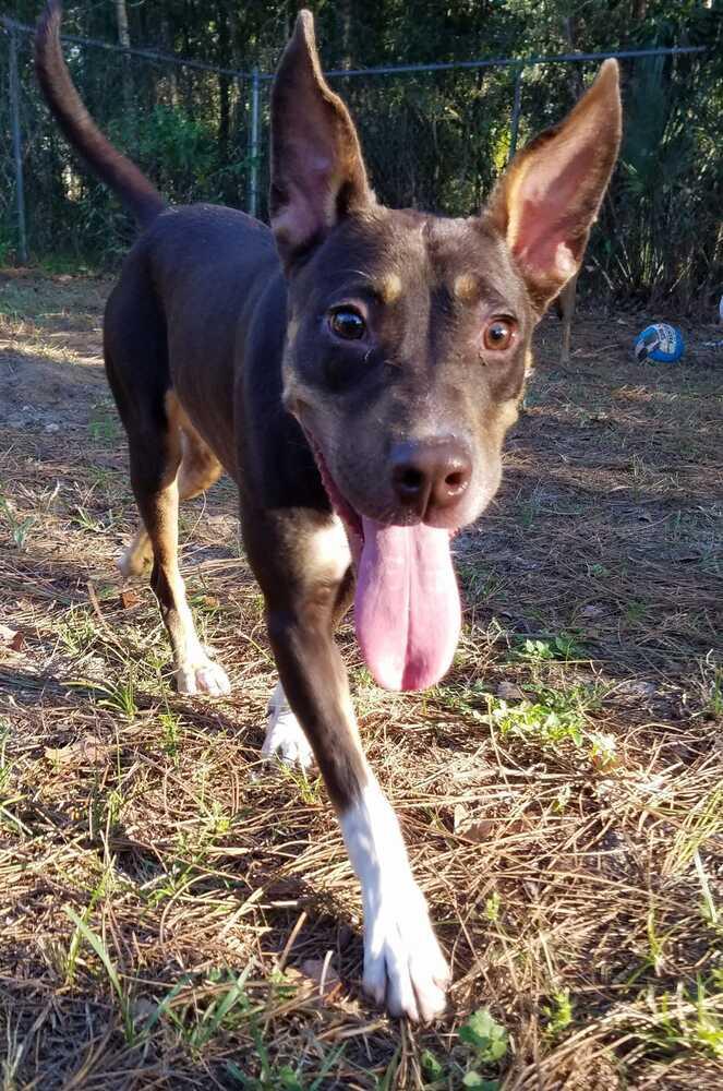 Clementine photo