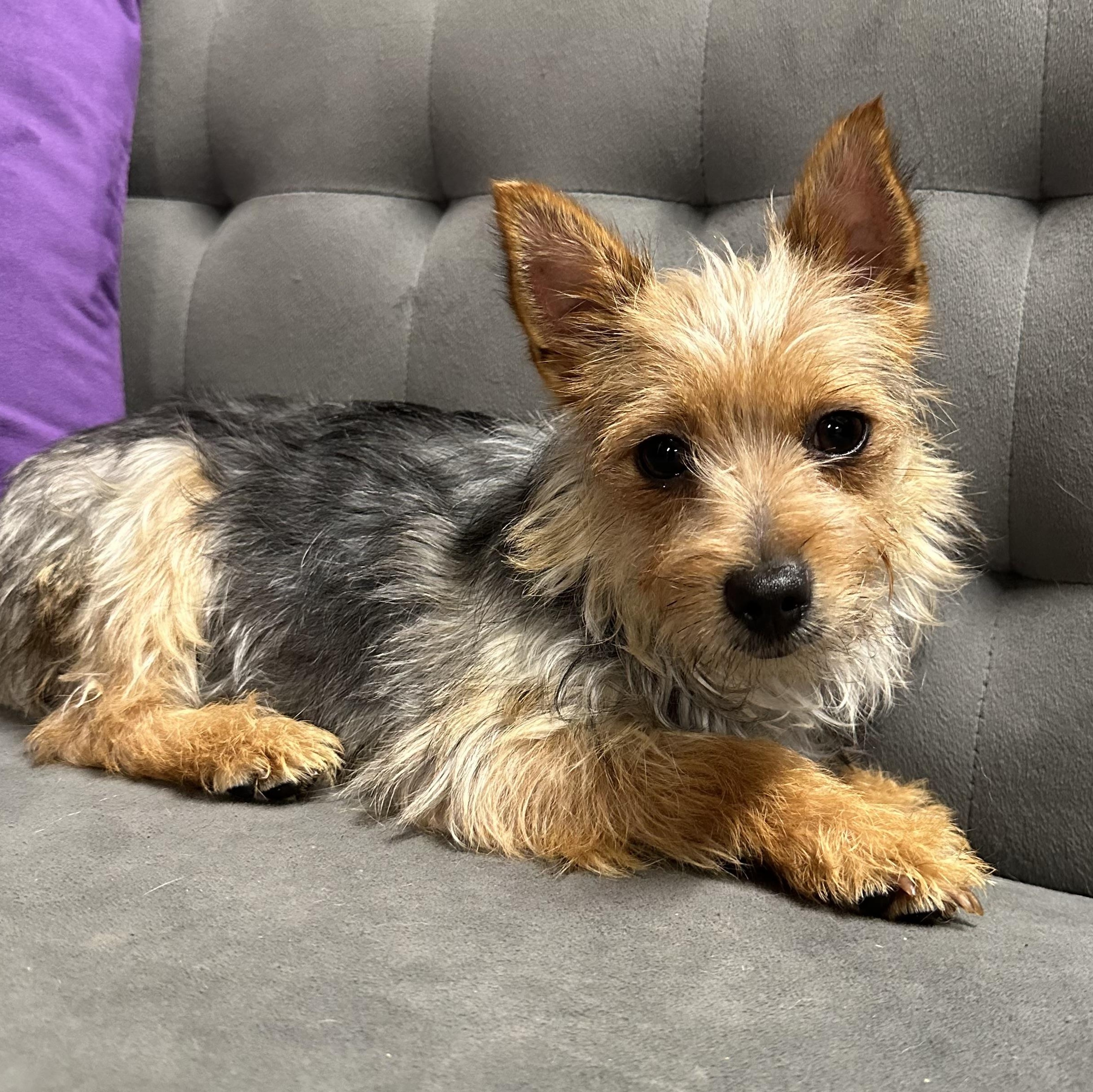 Putnam-Foster Home Needed