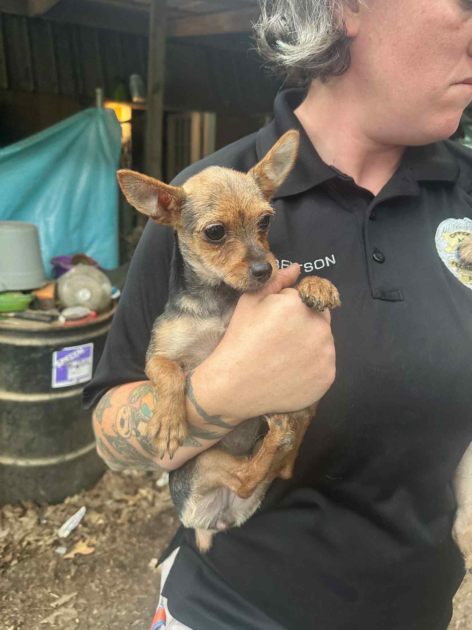 Putnam-Foster Home Needed