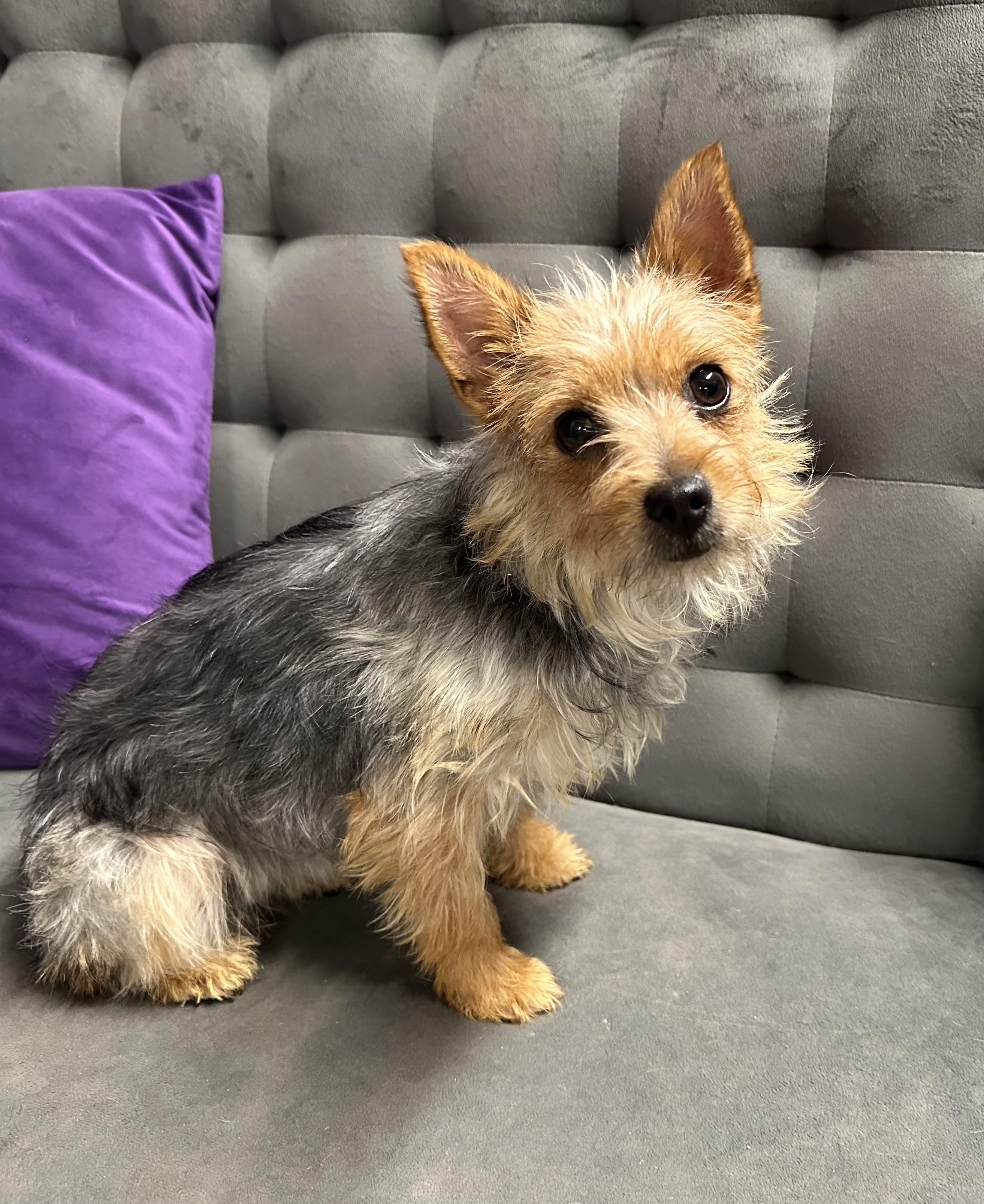 Putnam-Foster Home Needed