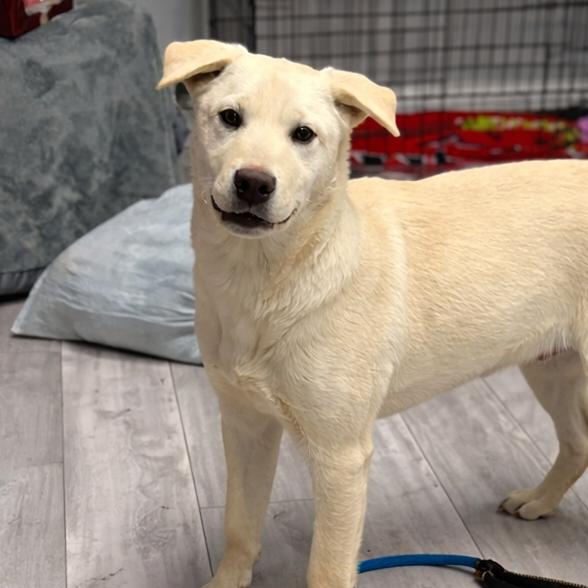 Sandwich — thumbnail 3