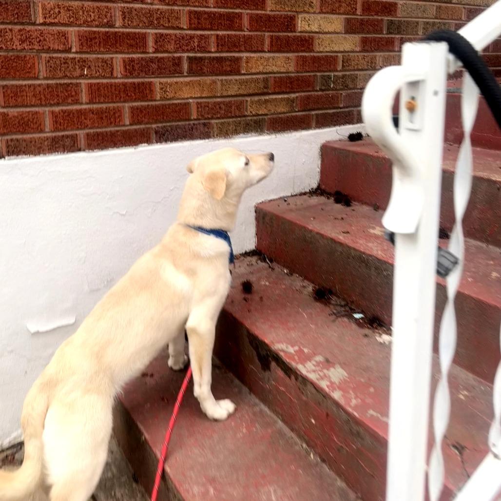 Sandwich — thumbnail 5