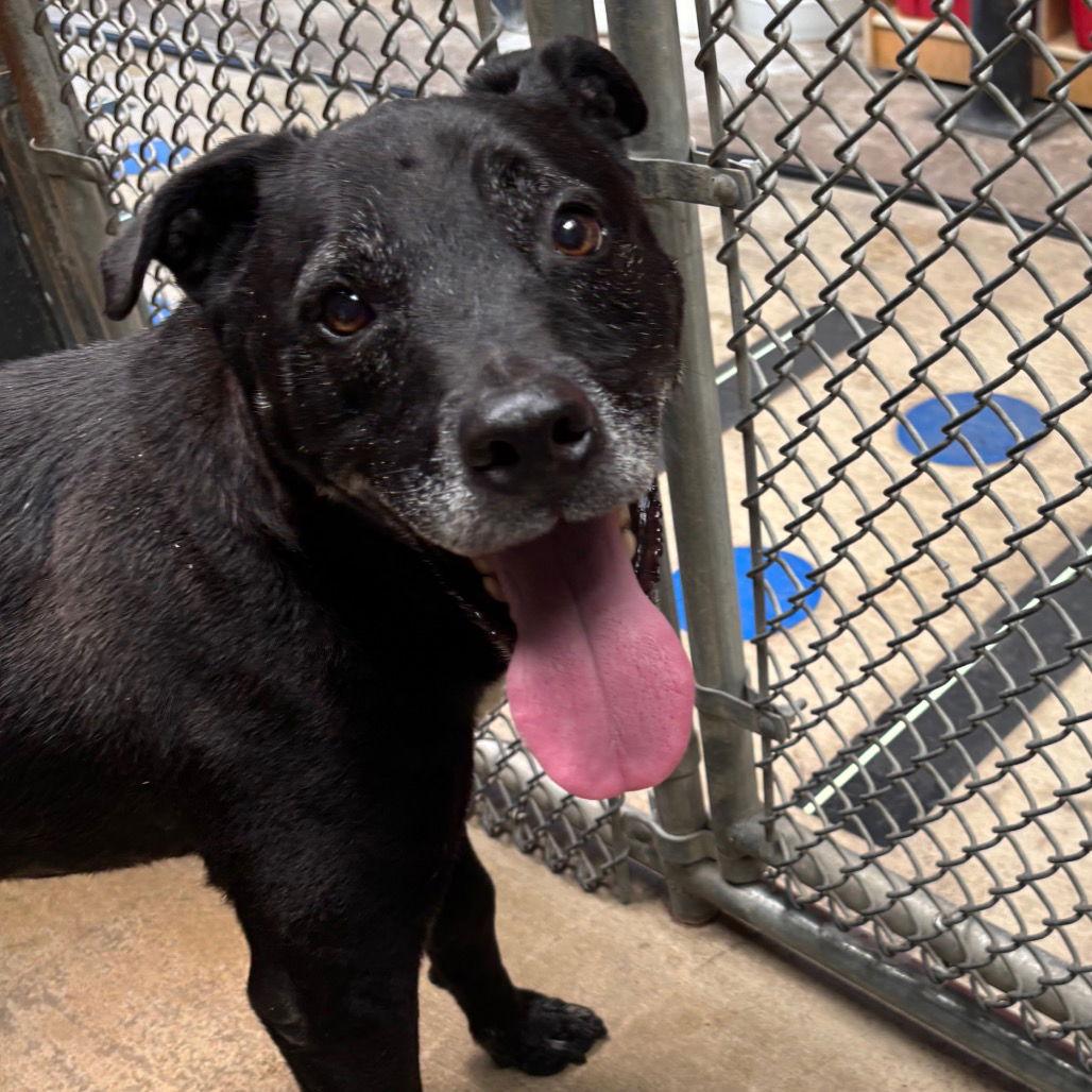 Melvin — thumbnail 3