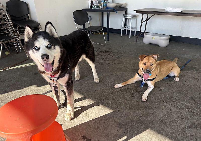 Charmaine — thumbnail 3