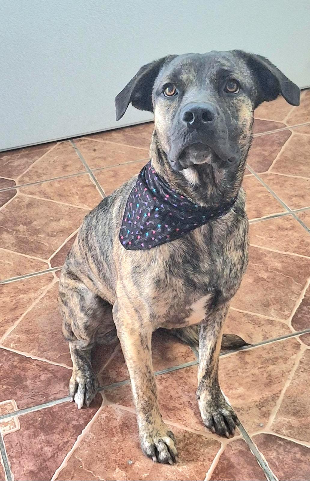 Princess Sammy "a Very thumbnail 2