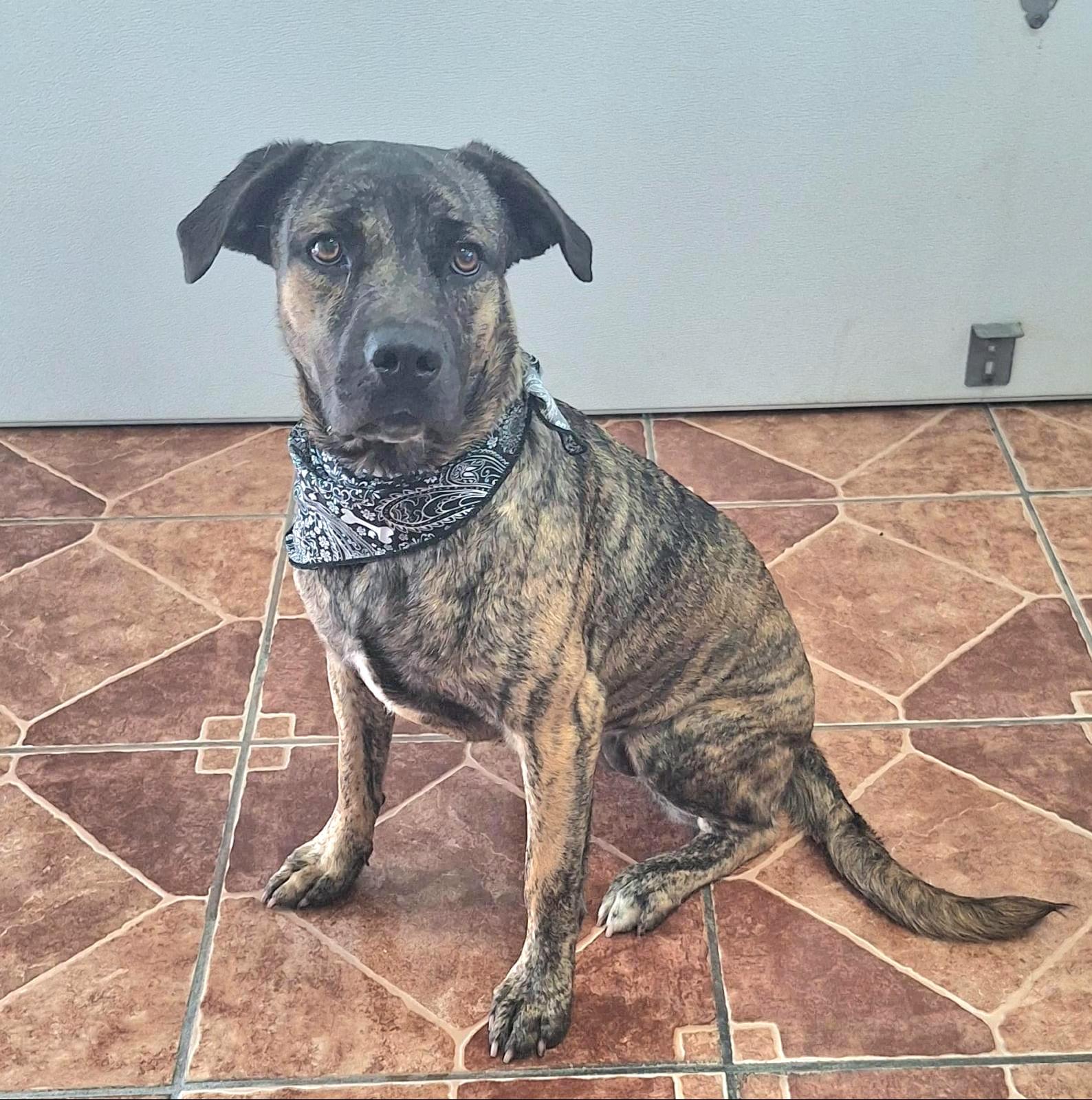 Princess Sammy "a Very thumbnail 4