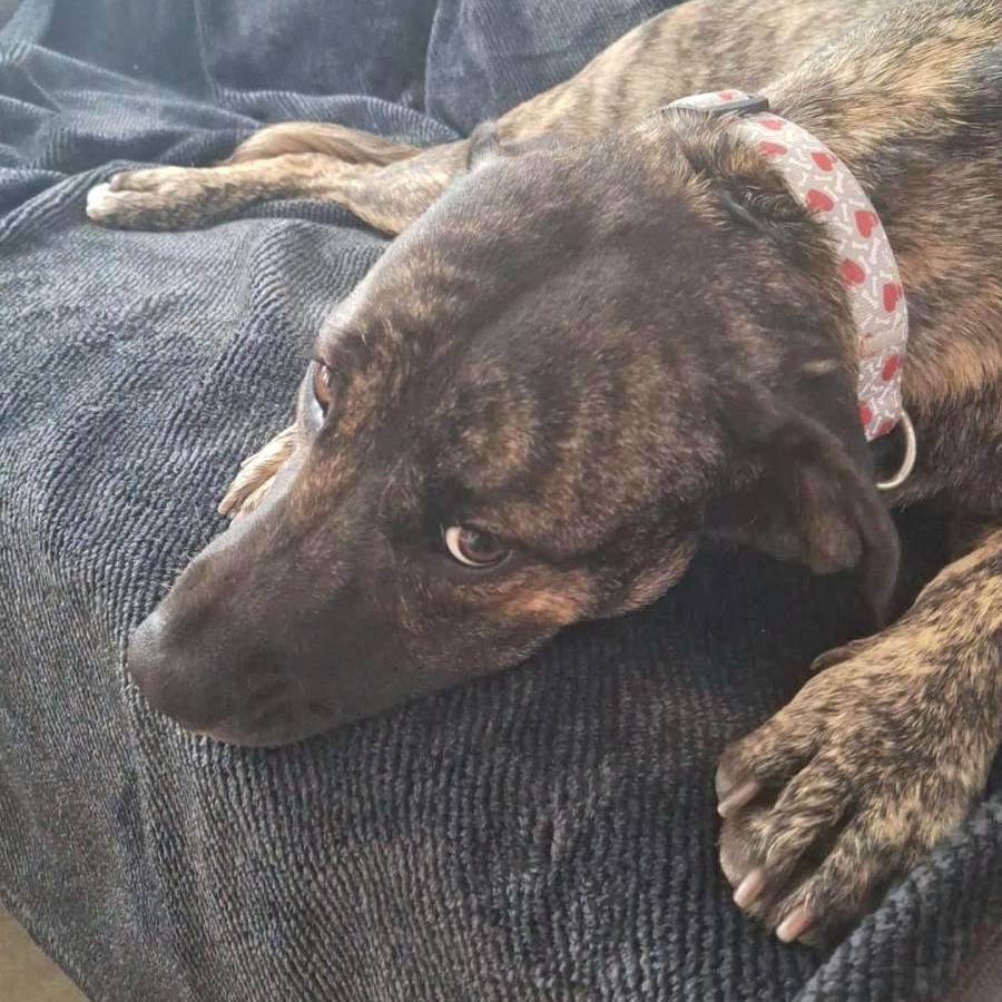 Princess Sammy "a Very thumbnail 5